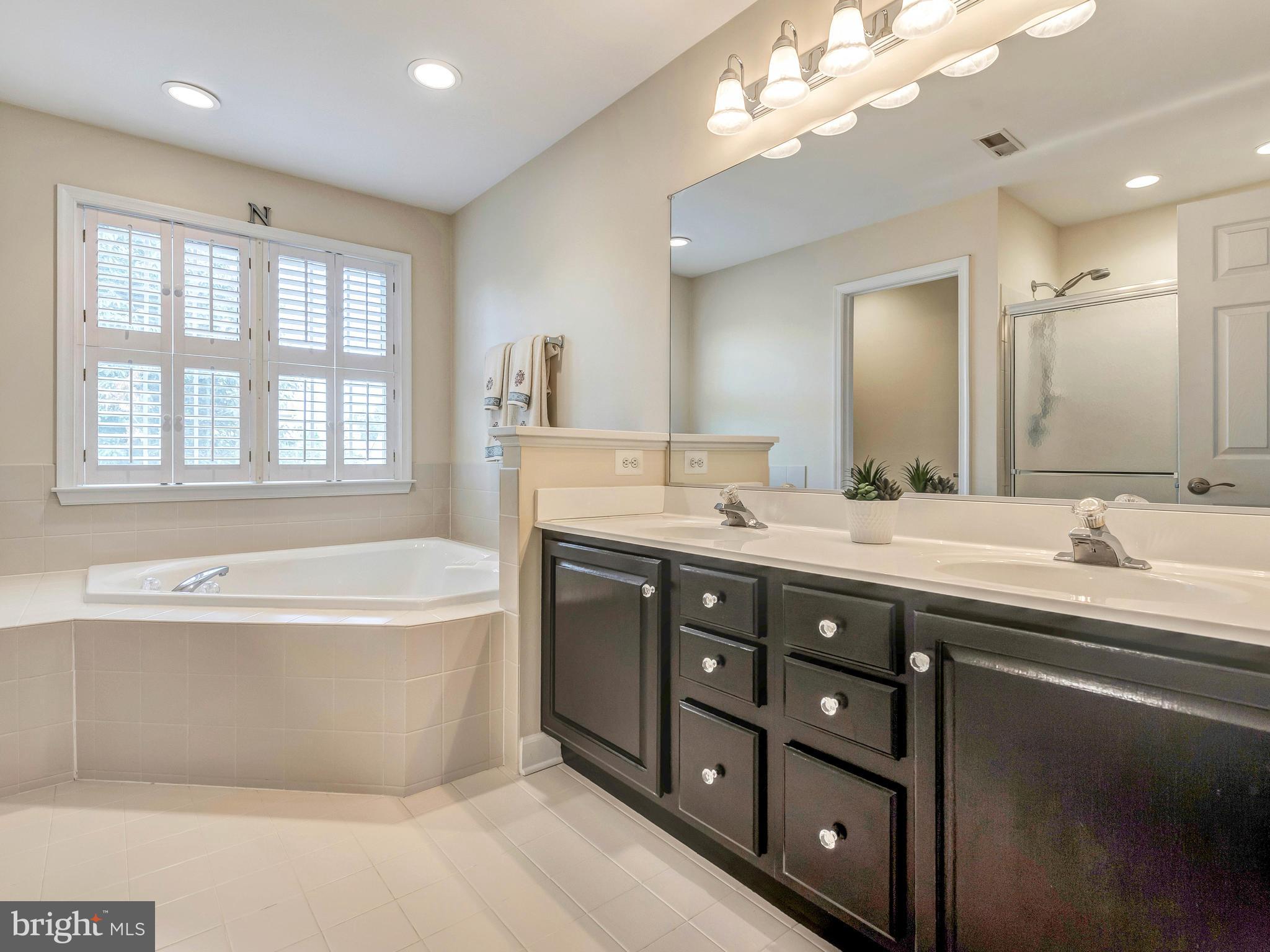 309 Longbow Road Mount Airy, MD 21771 - Photo 15 of 30 Bath (Master)
