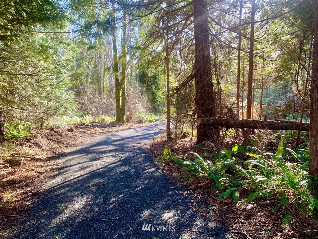 434 McDonald Road Quilcene, WA 98376 - Photo 1 of 15