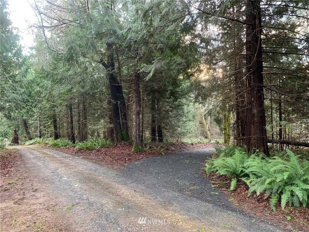 434 McDonald Road Quilcene, WA 98376 - Photo 12 of 15