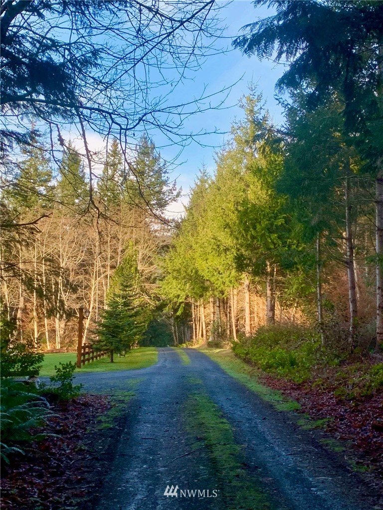 434 McDonald Road Quilcene, WA 98376 - Photo 13 of 15