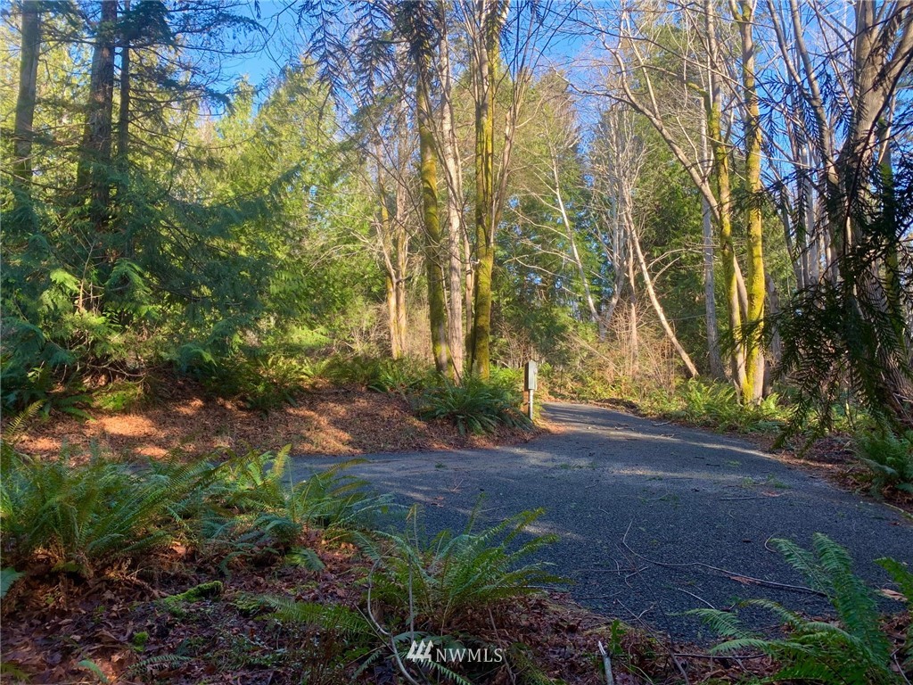 434 McDonald Road Quilcene, WA 98376 - Photo 3 of 15
