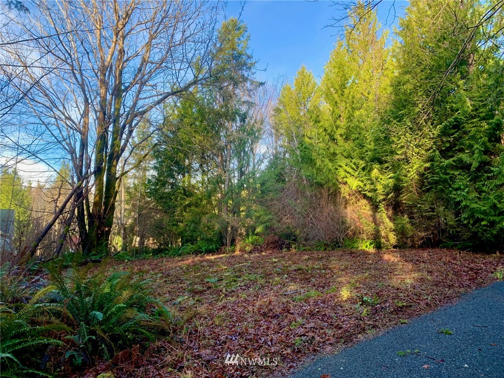 434 McDonald Road Quilcene, WA 98376 - Photo 6 of 15