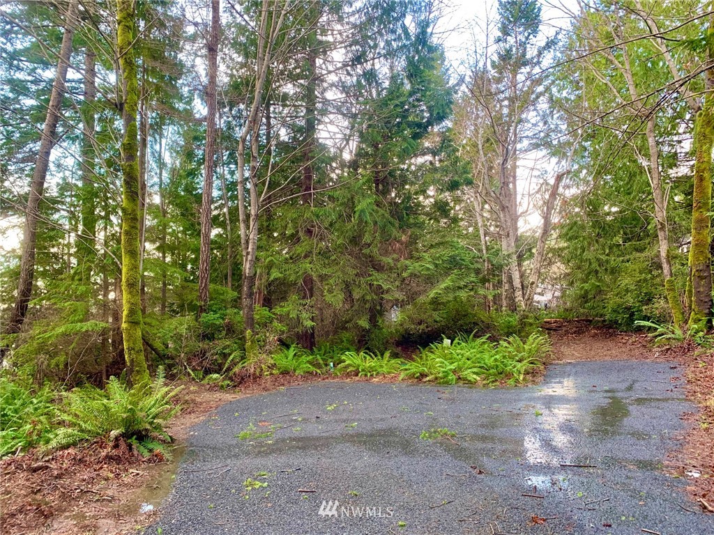 434 McDonald Road Quilcene, WA 98376 - Photo 7 of 15