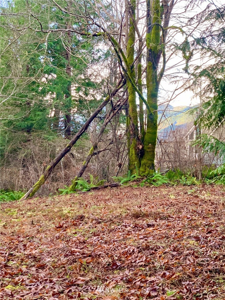 434 McDonald Road Quilcene, WA 98376 - Photo 10 of 15