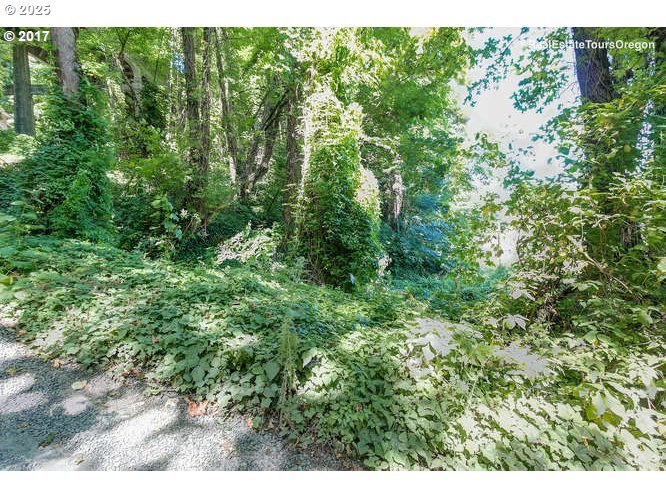 Nw Street Portland, OR 97231 - Photo 11 of 15