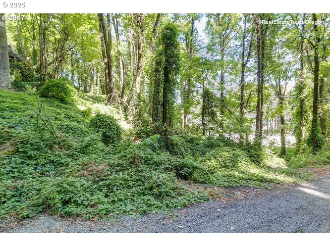 Nw Street Portland, OR 97231 - Photo 8 of 15