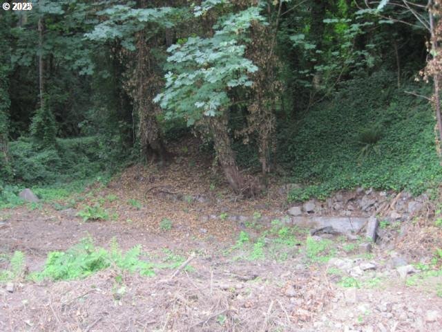 Nw Street Portland, OR 97231 - Photo 9 of 15