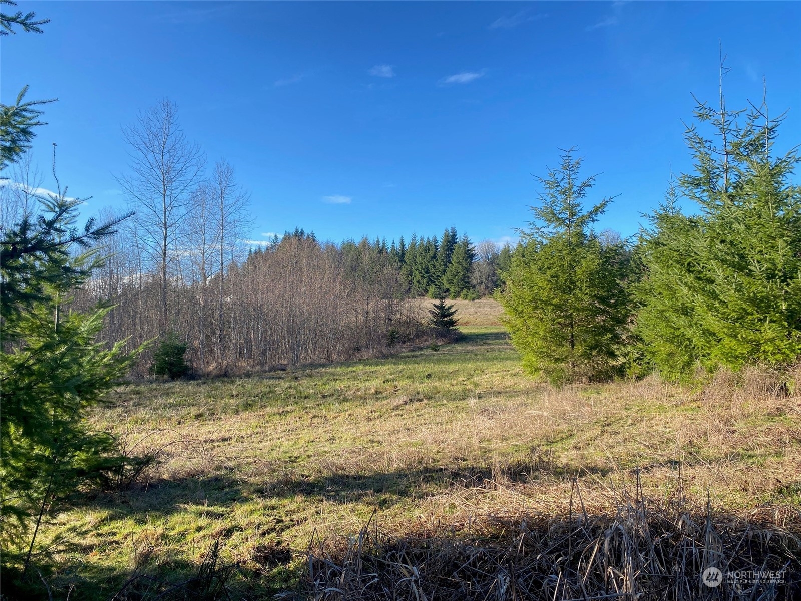 1 Brockway Road Chehalis, WA 98532 - Photo 2 of 14 a view of small yard