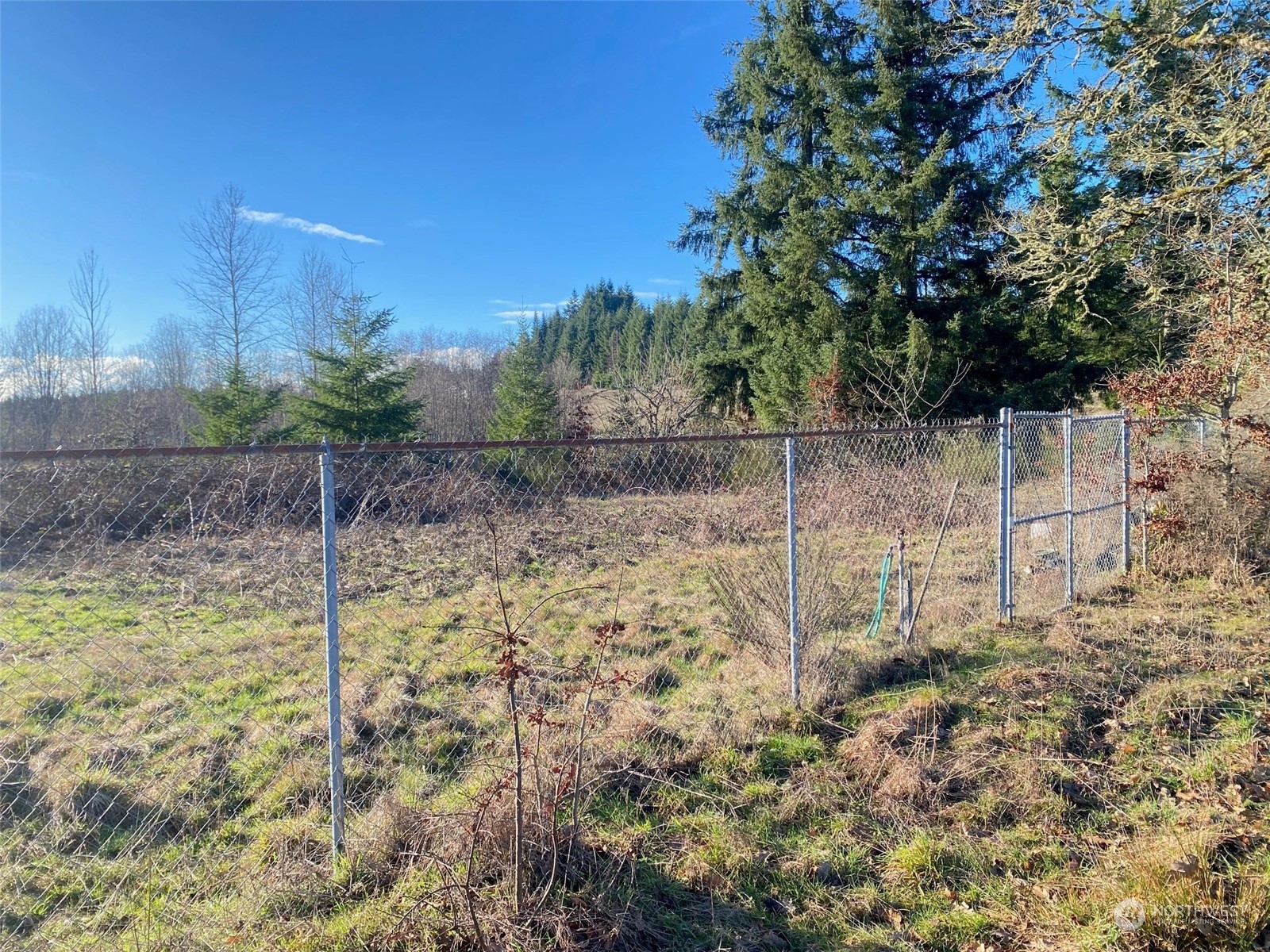 1 Brockway Road Chehalis, WA 98532 - Photo 9 of 14 a view of a yard with an trees