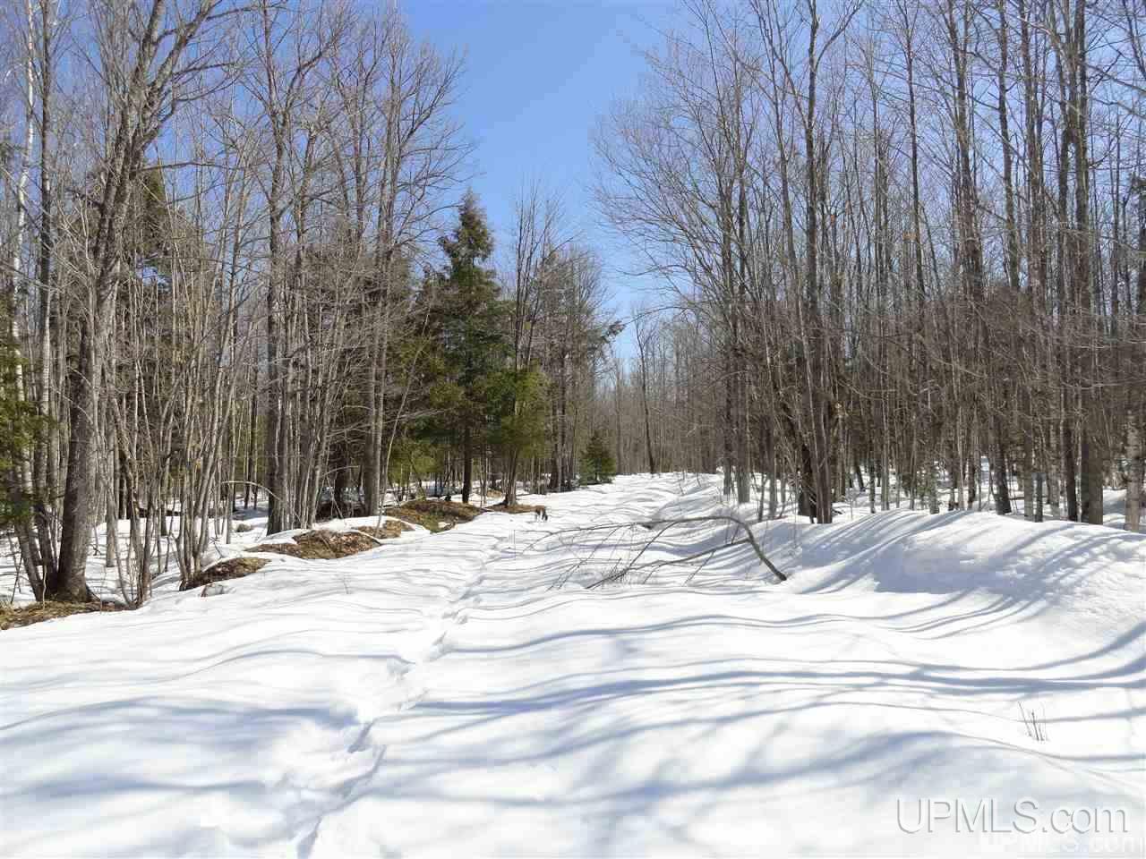 240-acres Leek Road Covington, MI 49919 - Photo 2 of 50