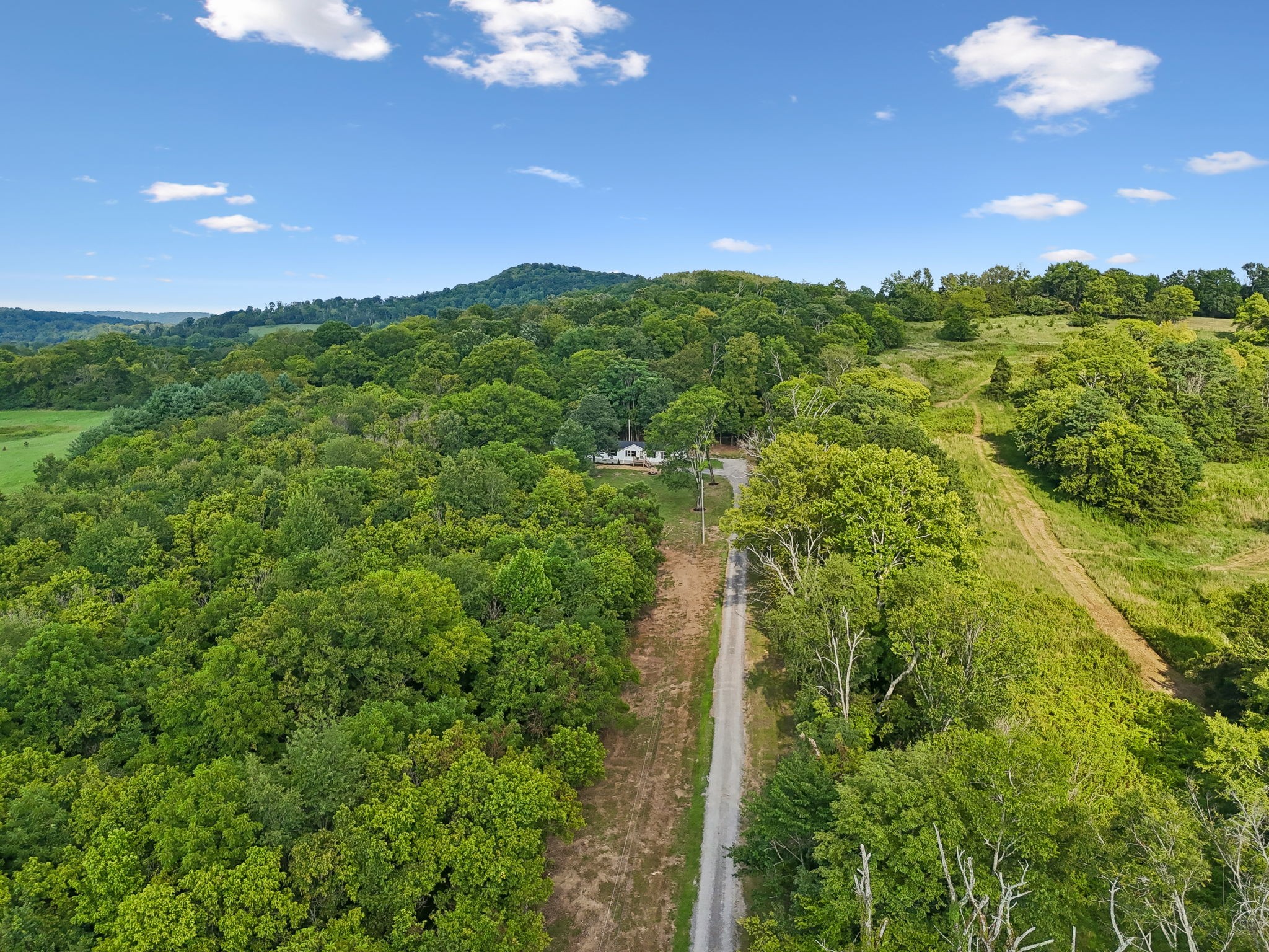 21 Vantrease Road Brush Creek, TN 38547 - Photo 5 of 98 Gallery Image 5