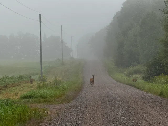 $175,000 | N2179 Schalk Road, Ogema, WI 54459
