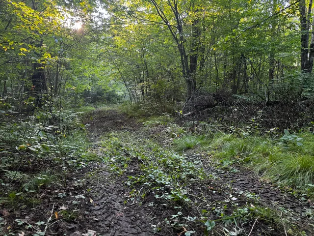 $175,000 | N2179 Schalk Road, Ogema, WI 54459