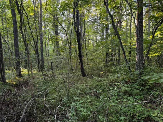 $175,000 | N2179 Schalk Road, Ogema, WI 54459