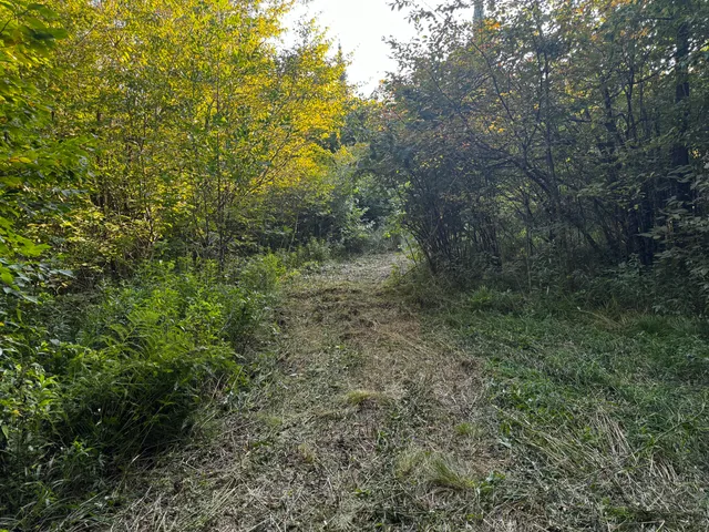 $175,000 | N2179 Schalk Road, Ogema, WI 54459