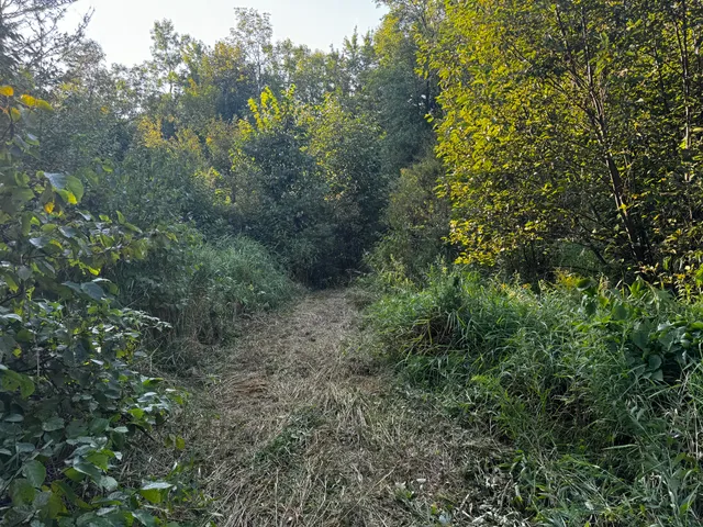 $175,000 | N2179 Schalk Road, Ogema, WI 54459