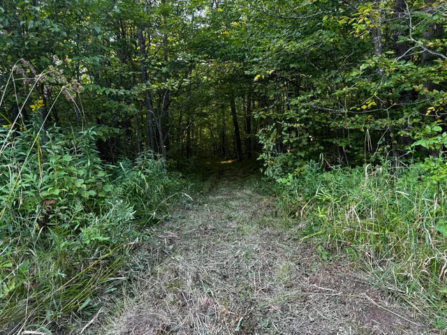 $175,000 | N2179 Schalk Road, Ogema, WI 54459