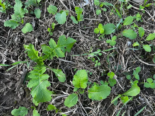 $175,000 | N2179 Schalk Road, Ogema, WI 54459