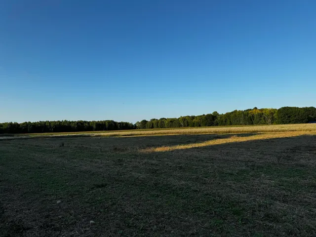 $175,000 | N2179 Schalk Road, Ogema, WI 54459