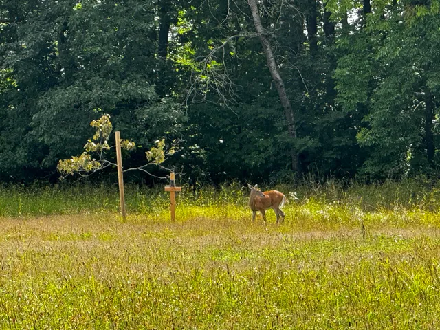 $175,000 | N2179 Schalk Road, Ogema, WI 54459