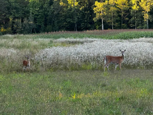 $175,000 | N2179 Schalk Road, Ogema, WI 54459