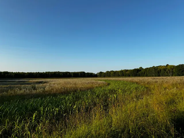 $175,000 | N2179 Schalk Road, Ogema, WI 54459