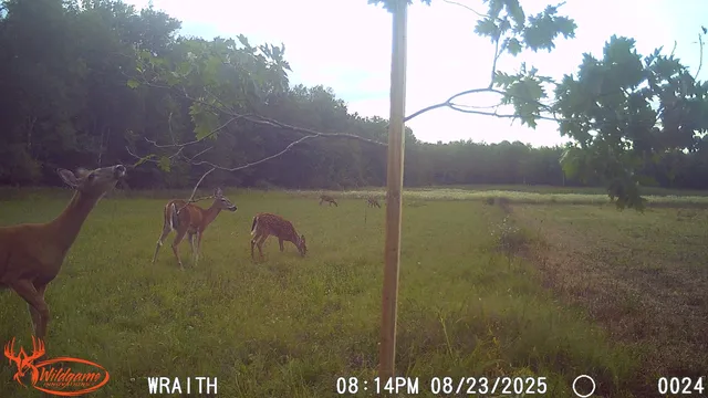 $175,000 | N2179 Schalk Road, Ogema, WI 54459