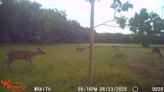 $175,000 | N2179 Schalk Road, Ogema, WI 54459