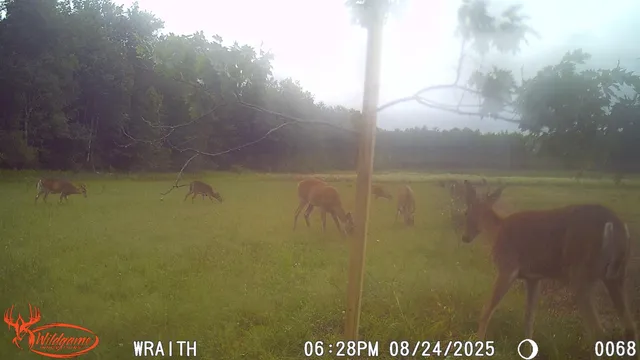 $175,000 | N2179 Schalk Road, Ogema, WI 54459