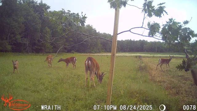 $175,000 | N2179 Schalk Road, Ogema, WI 54459