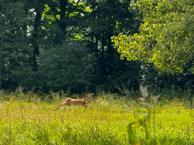 $175,000 | N2179 Schalk Road, Ogema, WI 54459