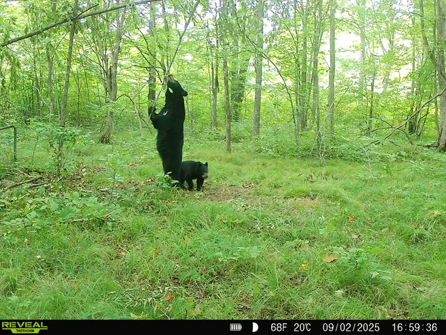 $175,000 | N2179 Schalk Road, Ogema, WI 54459