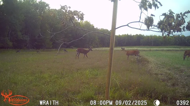 $175,000 | N2179 Schalk Road, Ogema, WI 54459