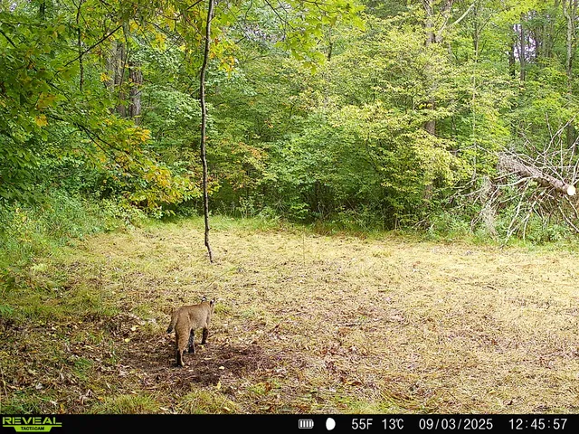 $175,000 | N2179 Schalk Road, Ogema, WI 54459