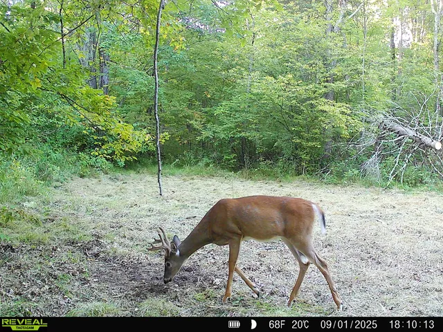 $175,000 | N2179 Schalk Road, Ogema, WI 54459