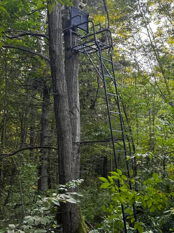 $175,000 | N2179 Schalk Road, Ogema, WI 54459