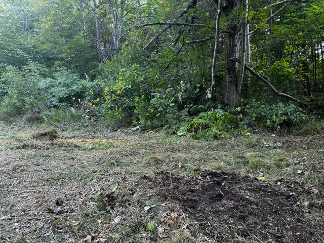 $175,000 | N2179 Schalk Road, Ogema, WI 54459