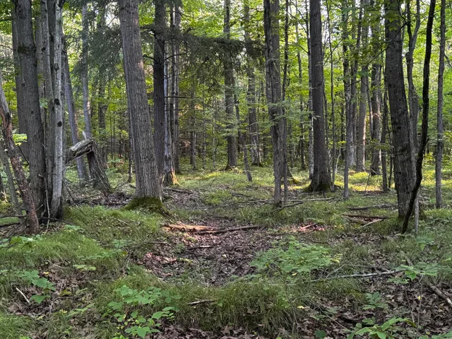 $175,000 | N2179 Schalk Road, Ogema, WI 54459