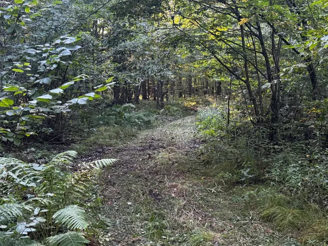 $175,000 | N2179 Schalk Road, Ogema, WI 54459