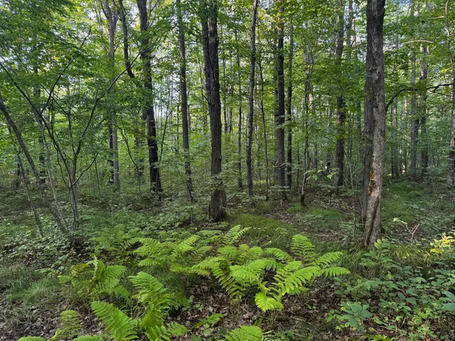 $175,000 | N2179 Schalk Road, Ogema, WI 54459