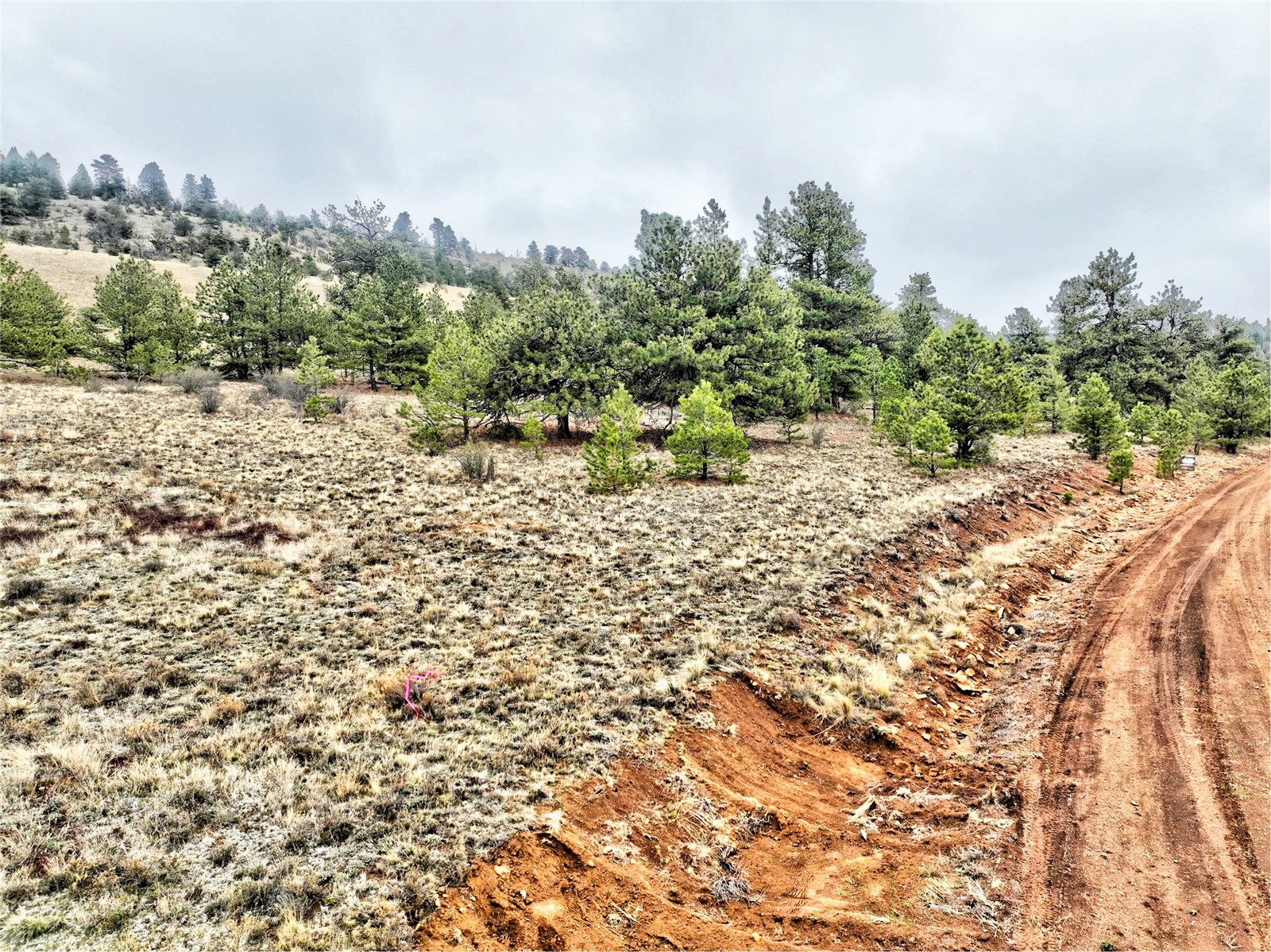 831 Cohonina Road Hartsel, CO 80449 - Photo 8 of 16 View of local wilderness featuring a rural view