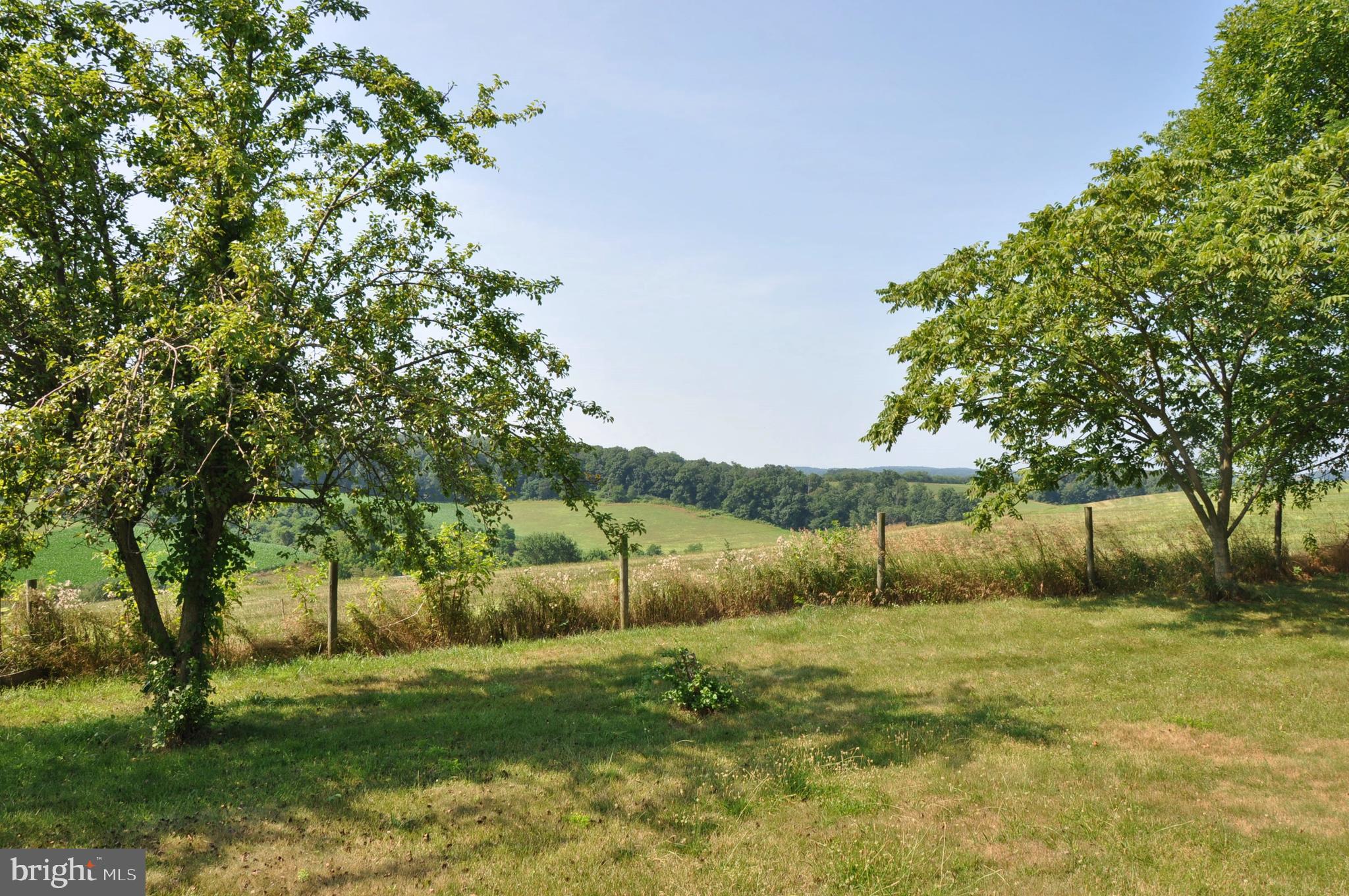 3000 Jefferson Road Spring Grove, PA 17362 - Photo 2 of 63 View out back