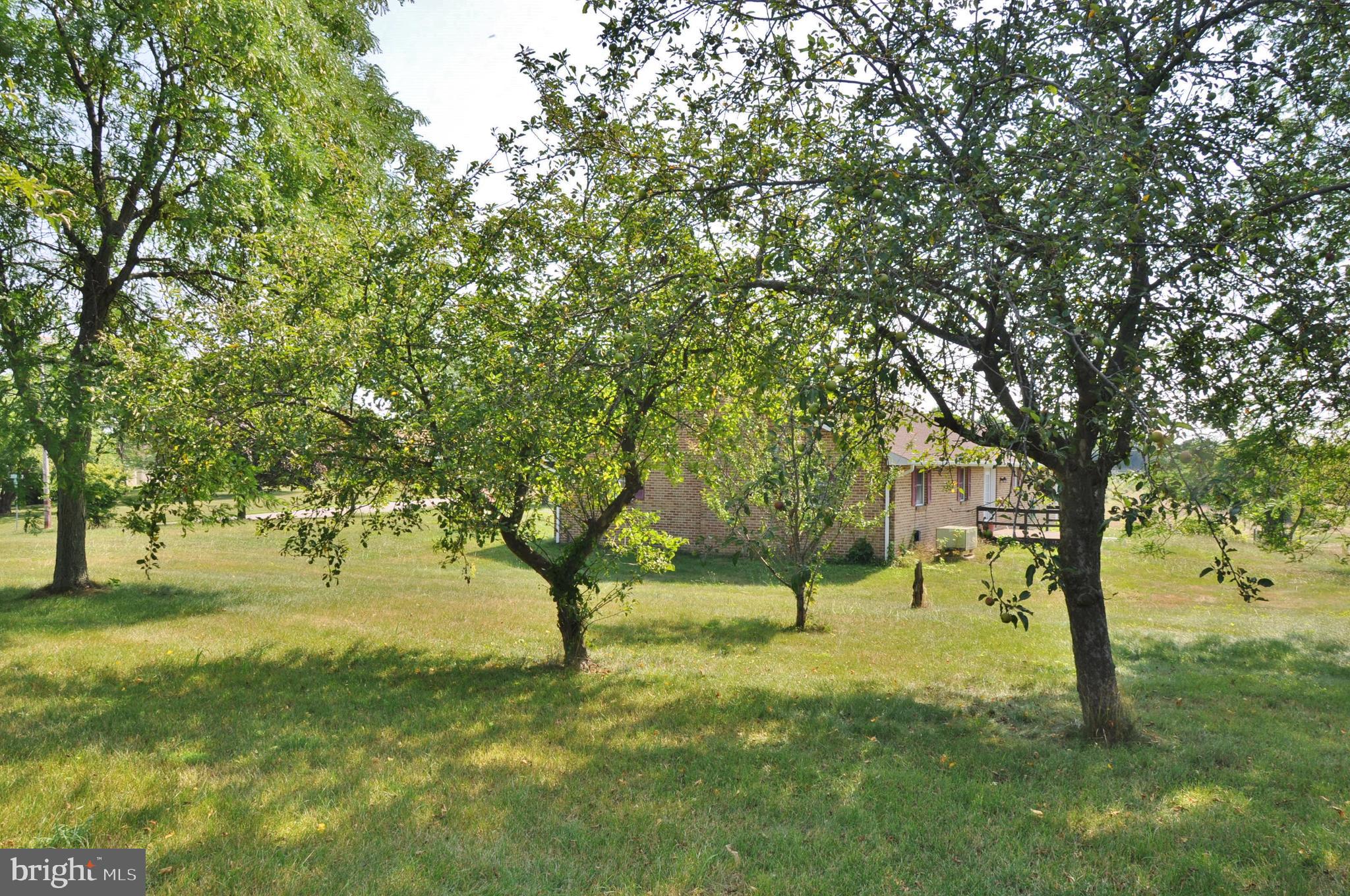3000 Jefferson Road Spring Grove, PA 17362 - Photo 54 of 63 a view of yard with trees