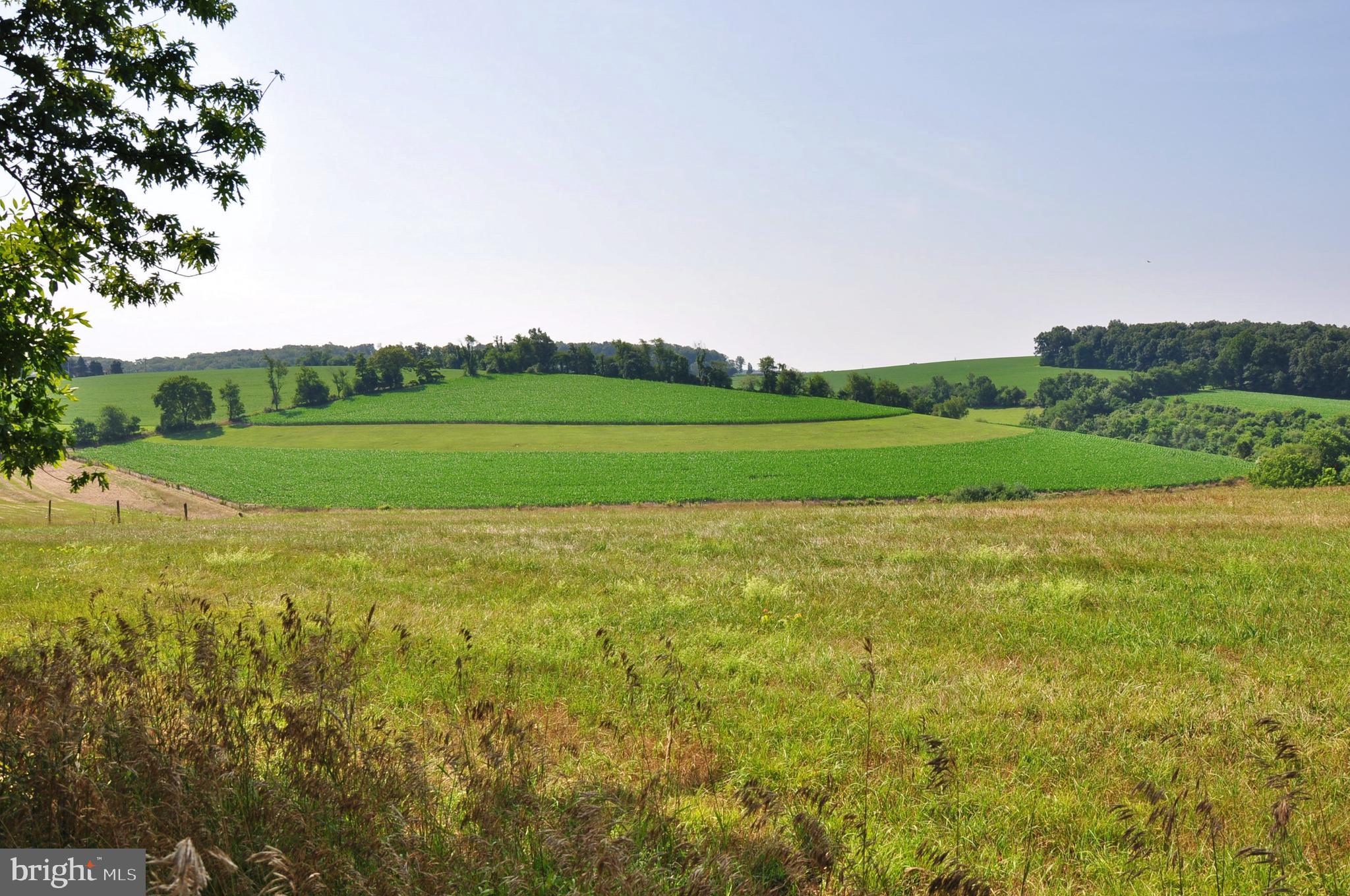 3000 Jefferson Road Spring Grove, PA 17362 - Photo 56 of 63 a view of a field with grass and a trees