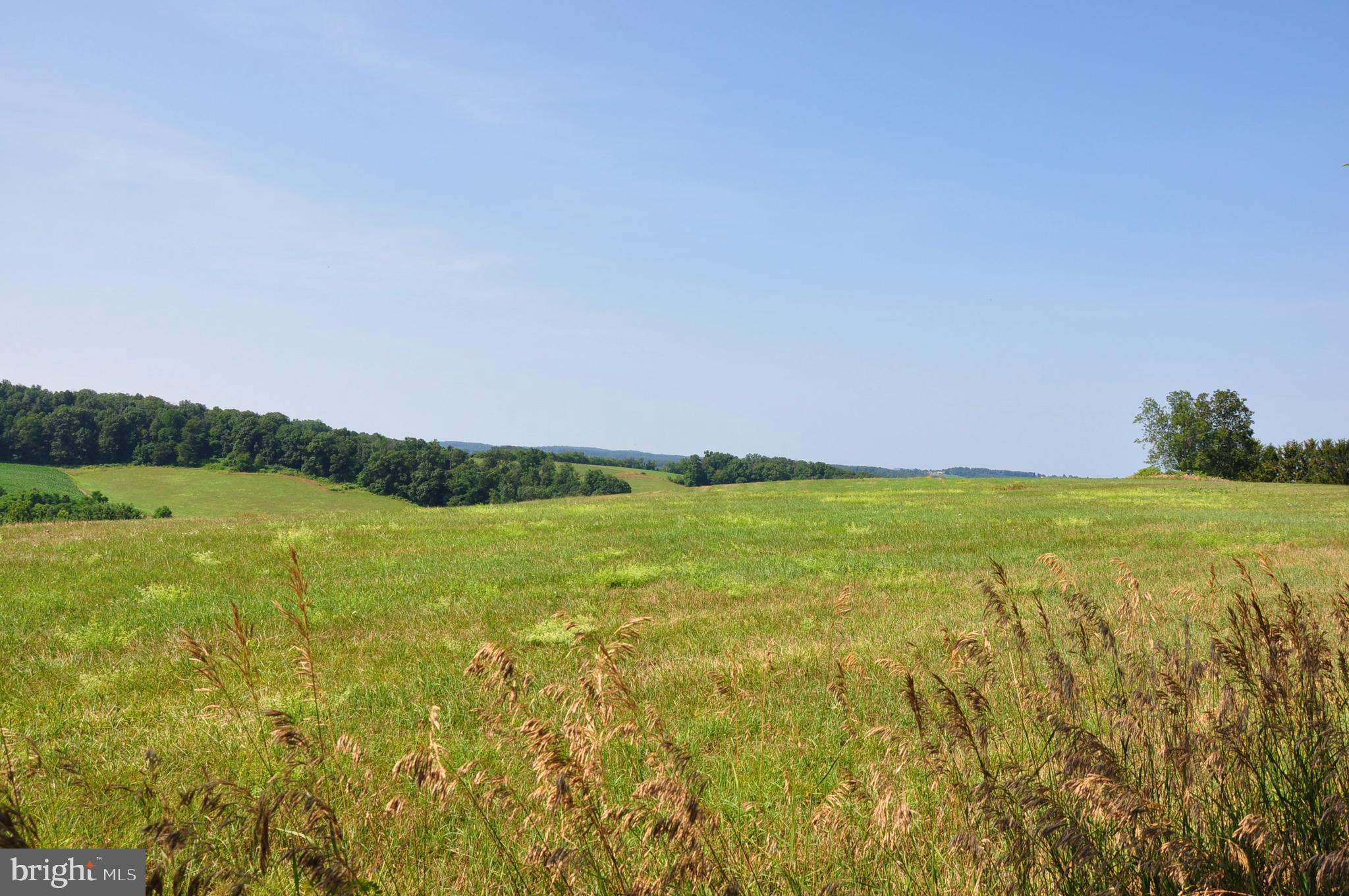 3000 Jefferson Road Spring Grove, PA 17362 - Photo 57 of 63 a view of an ocean from a yard