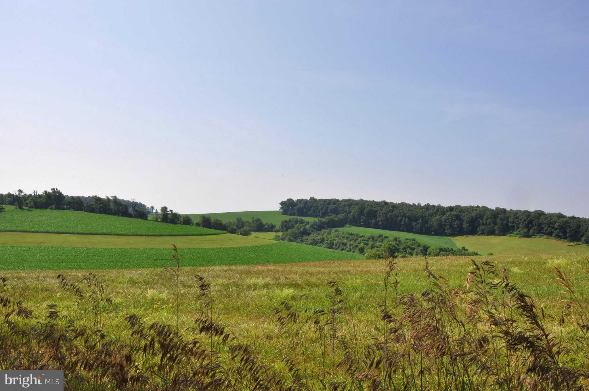 3000 Jefferson Road Spring Grove, PA 17362 - Photo 58 of 63 a view of a field with an ocean