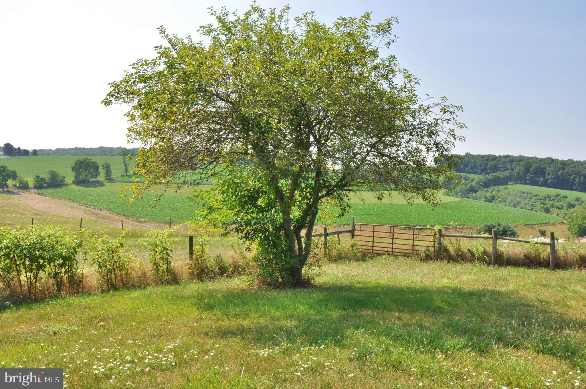 3000 Jefferson Road Spring Grove, PA 17362 - Photo 61 of 63 a view of an outdoor space and a yard
