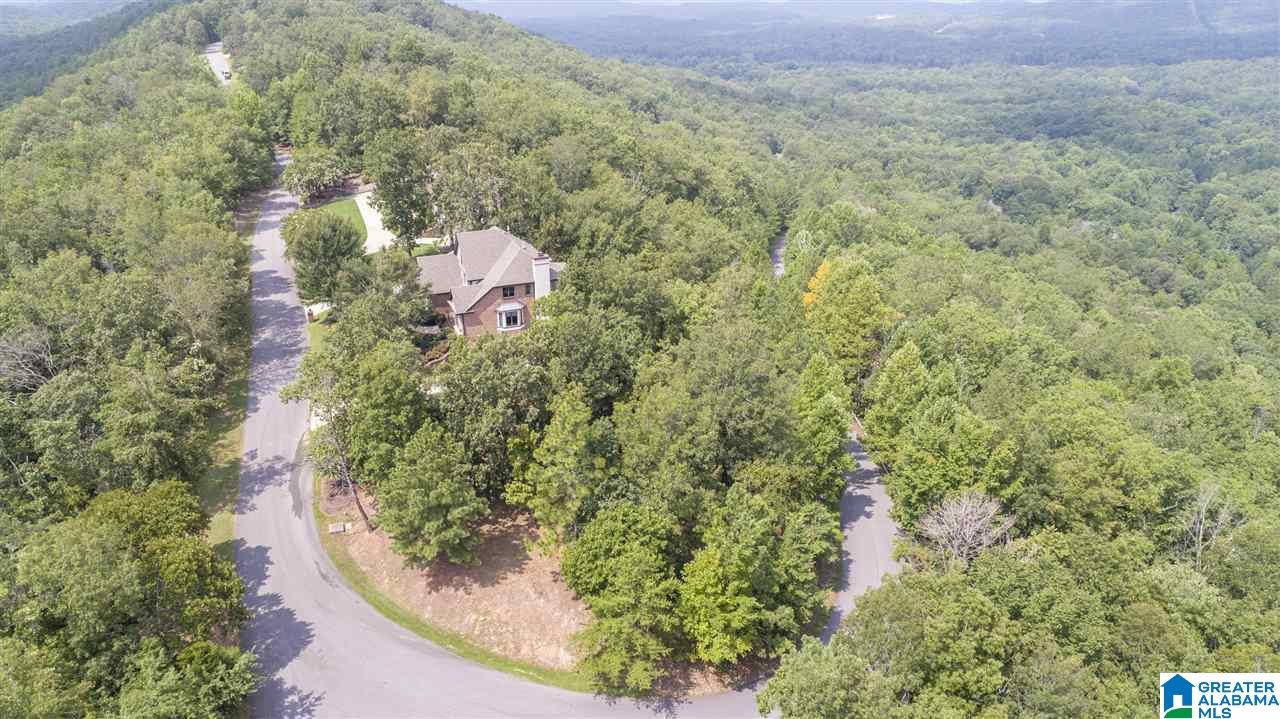 328 Kings Crest Lane Pelham, AL 35124 - Photo 12 of 41
