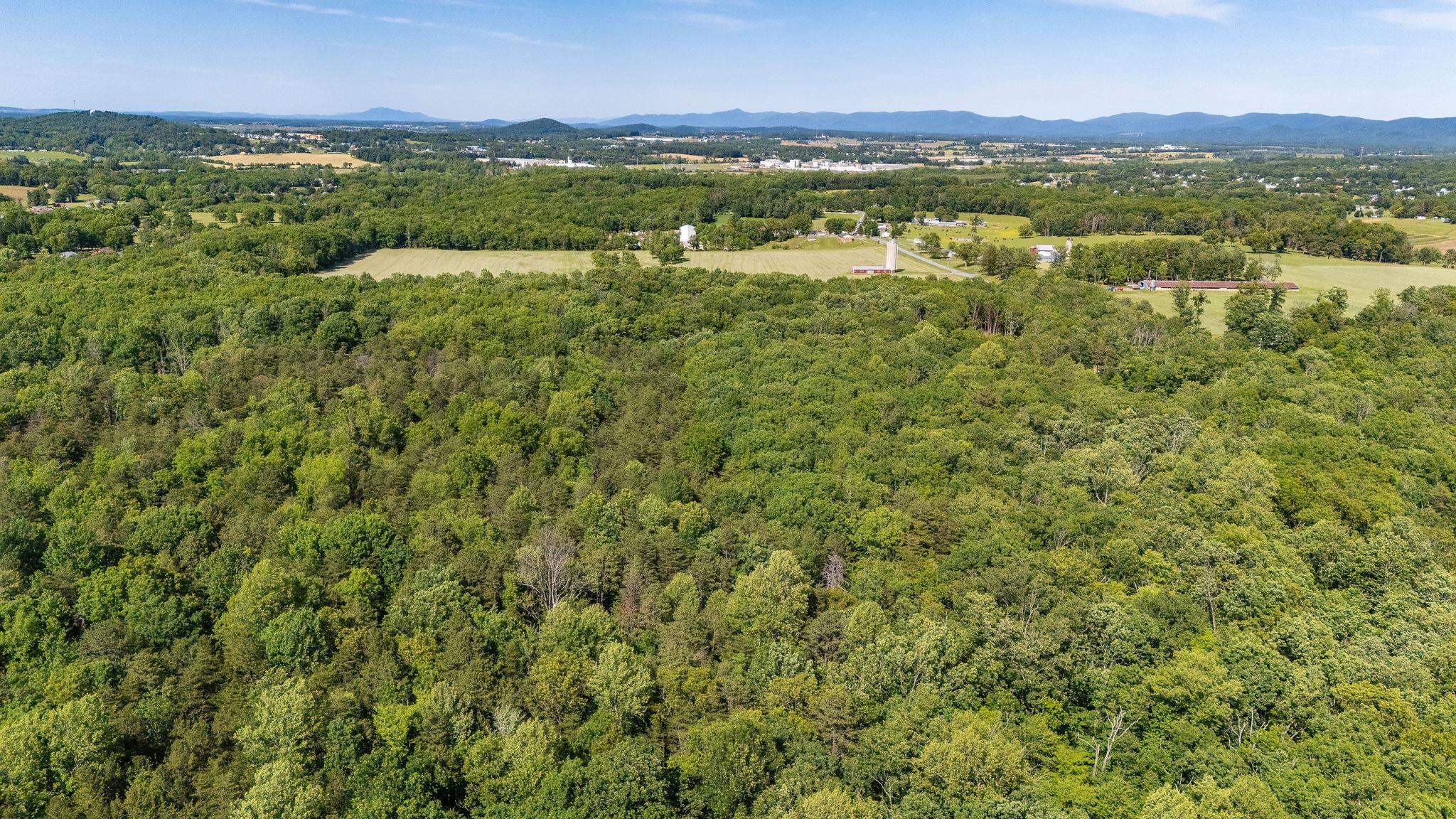 0 Cold Springs Road Stuarts Draft, VA 24477 - Photo 3 of 10 Gallery Image 3