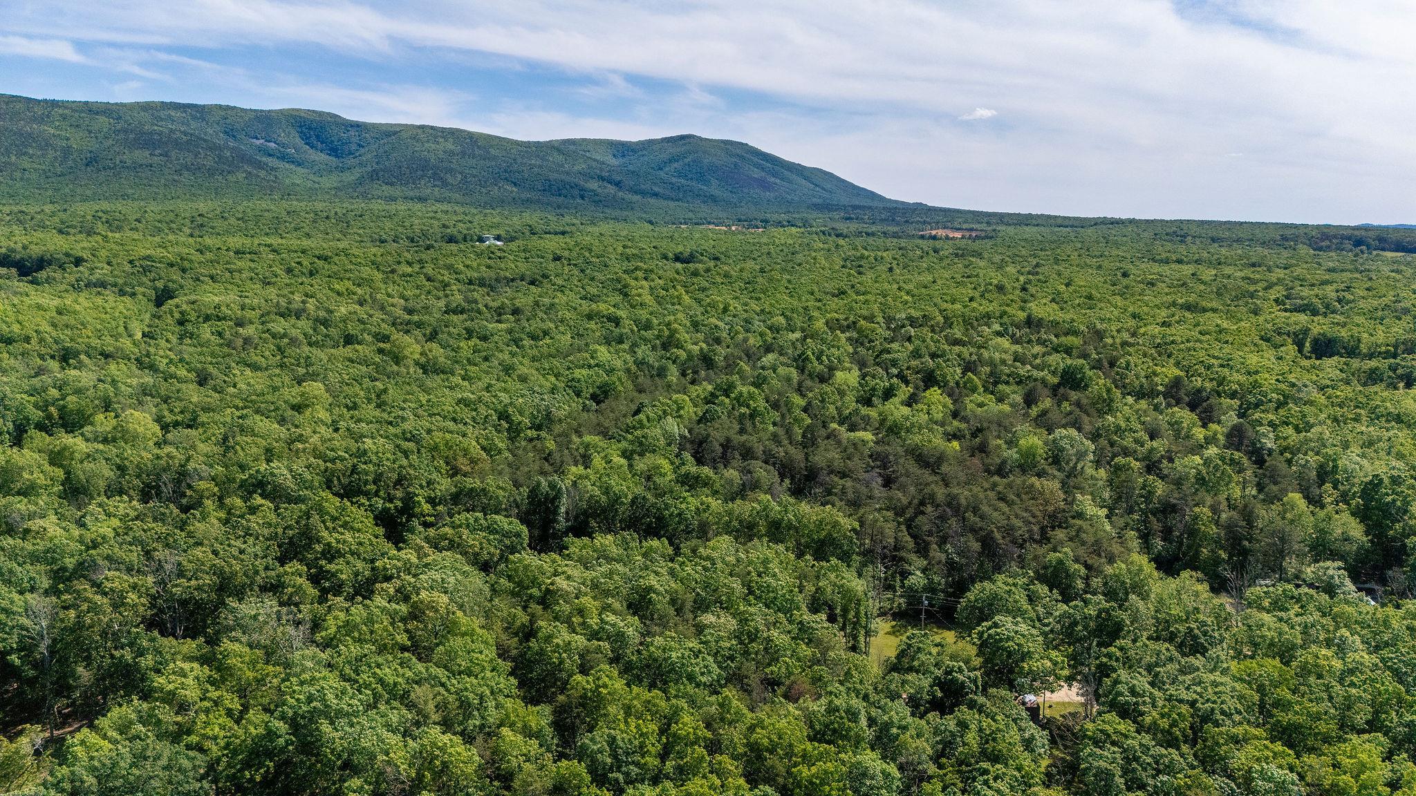 0 Cold Springs Road Stuarts Draft, VA 24477 - Photo 5 of 10 Gallery Image 5